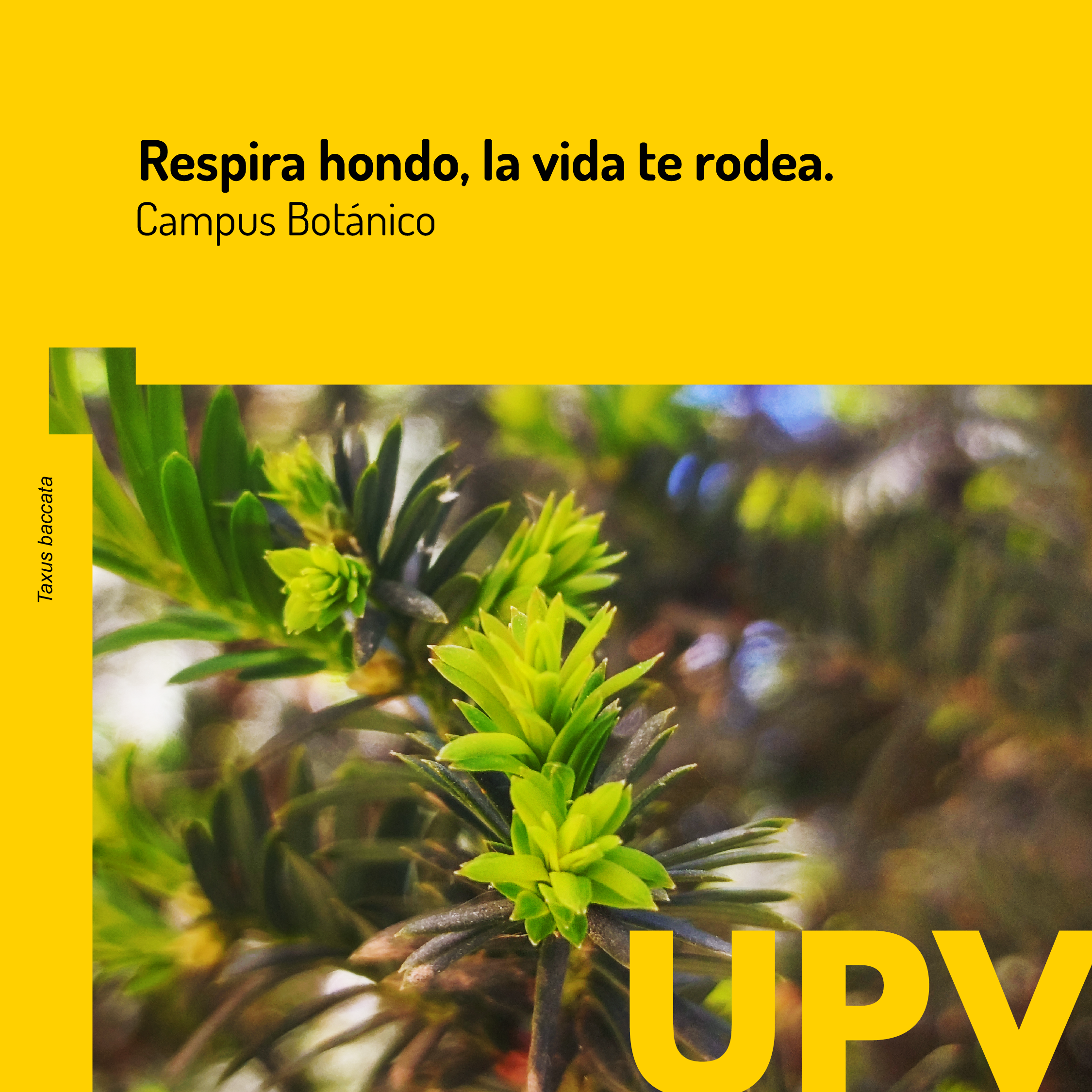 Ejemplo de post o cartelería.