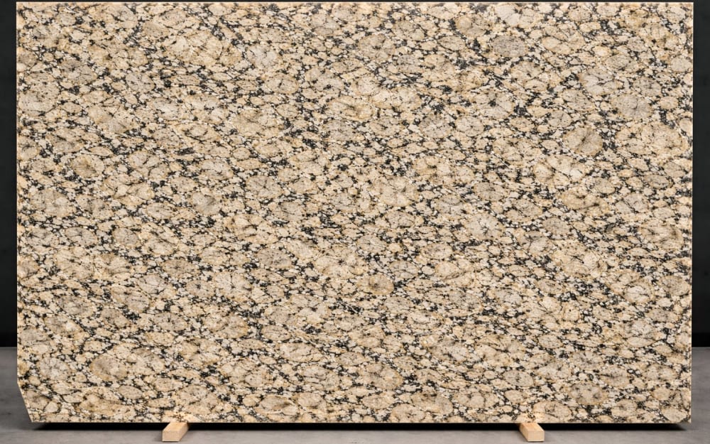 Amarello Vicenza granite — polished slab surface showing White coloring. Origin: Brazil. Hardness: 6 Mohs. Acid sensitivity: none.