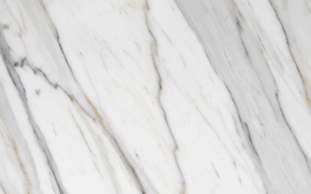 Breche Fantastique marble — polished slab surface showing White coloring. Origin: France. Hardness: 3 Mohs. Acid sensitivity: high.