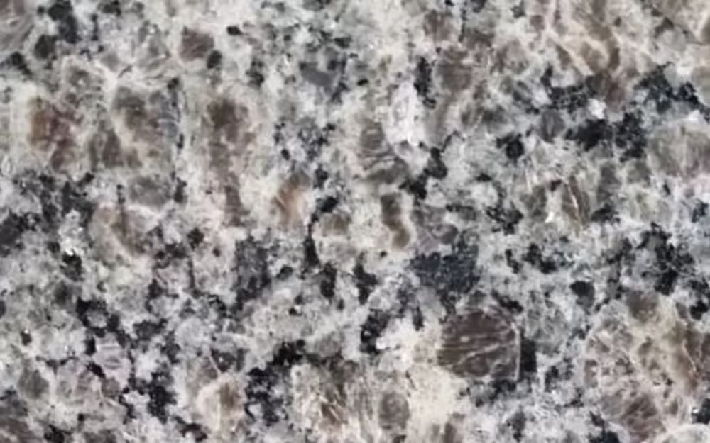 Caledonia granite — polished slab surface showing Grey coloring. Origin: Brazil. Hardness: 6 Mohs. Acid sensitivity: none.
