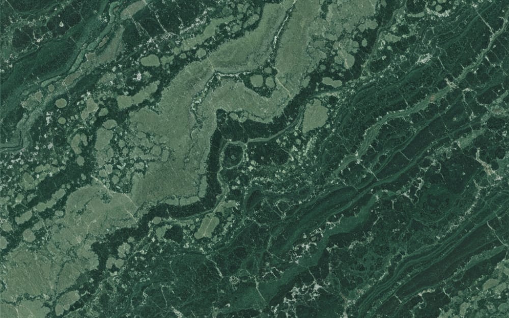 Verde Guatemala serpentine — polished slab surface showing Green coloring. Origin: Guatemala. Hardness: 3 Mohs. Acid sensitivity: low.