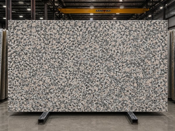 Bianco Sardo granite polished slab surface texture — White tones, quarried from Italy (Sardinia)