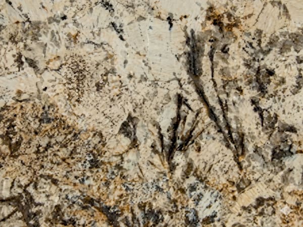 Caravelas Gold granite polished slab surface texture — Gold/Yellow tones, quarried from Brazil