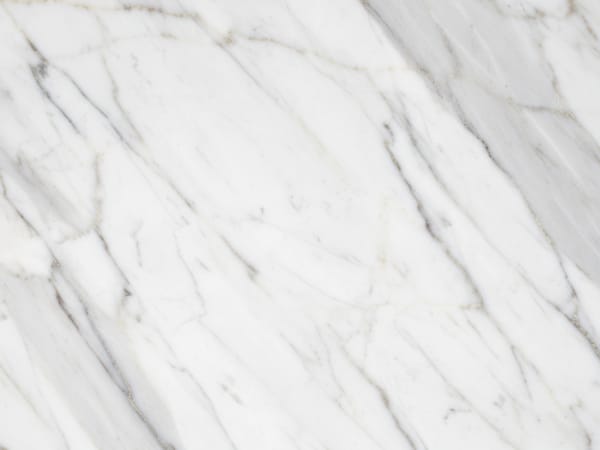 Florence Marble marble polished slab surface texture — White tones, quarried from Italy