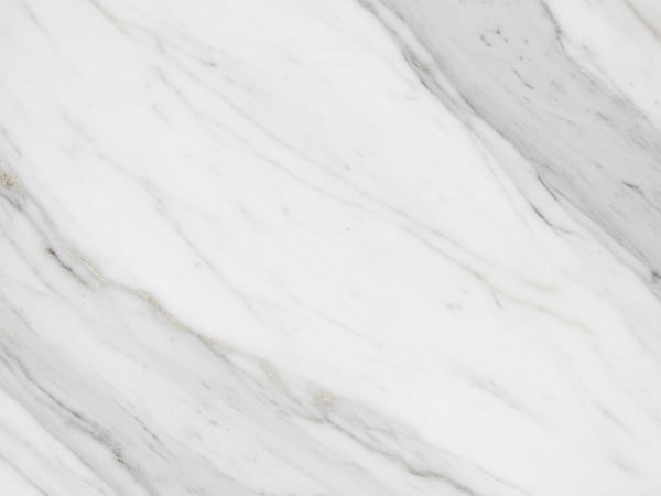 Fossil Stone marble polished slab surface texture — White tones, quarried from Morocco (Erfoud)