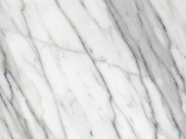 Platinus Marble marble polished slab surface texture — White tones, quarried from Brazil