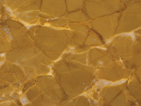 Rainforest Gold Marble marble polished slab surface texture — Gold/Yellow tones, quarried from India (Rajasthan)