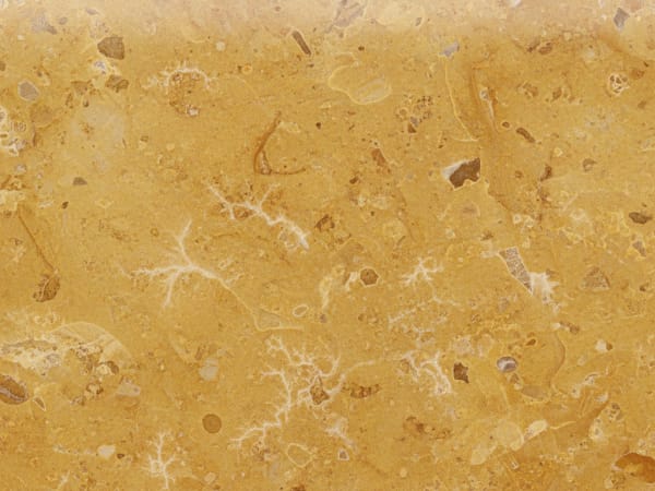 Solnhofen limestone polished slab surface texture — Cream tones, quarried from Germany