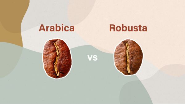 arabica-vs-robusta