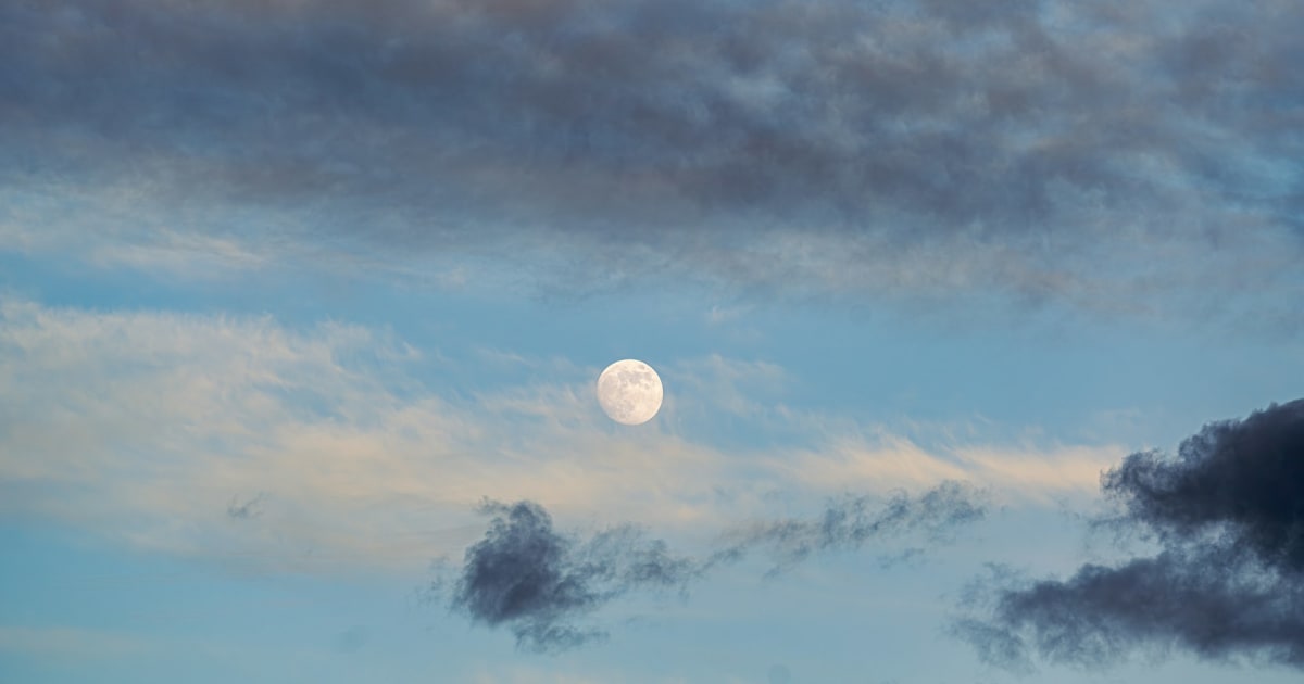 網頁3D模型讀取：斷線與離線環境應對策略