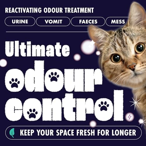 Vue 6 de Dirtbusters Solution Shampooing De