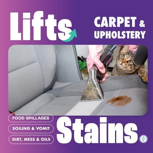 Vue 7 de Dirtbusters Solution Shampooing De