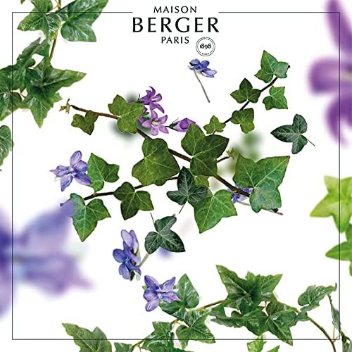 Vue 2 de Maison Berger Lot De