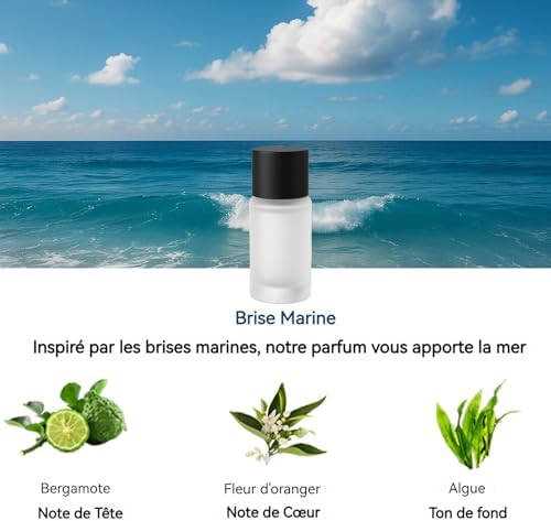 Vue 5 de Recharge Pour Diffuseur De