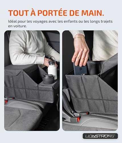 Vue 5 de Lionstrong Organisateur De Voiture