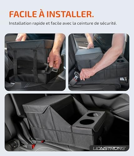 Vue 6 de Lionstrong Organisateur De Voiture