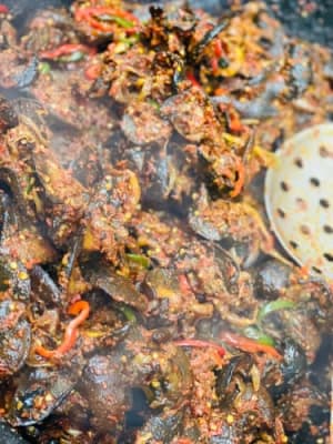 Gizzard