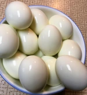 Egg