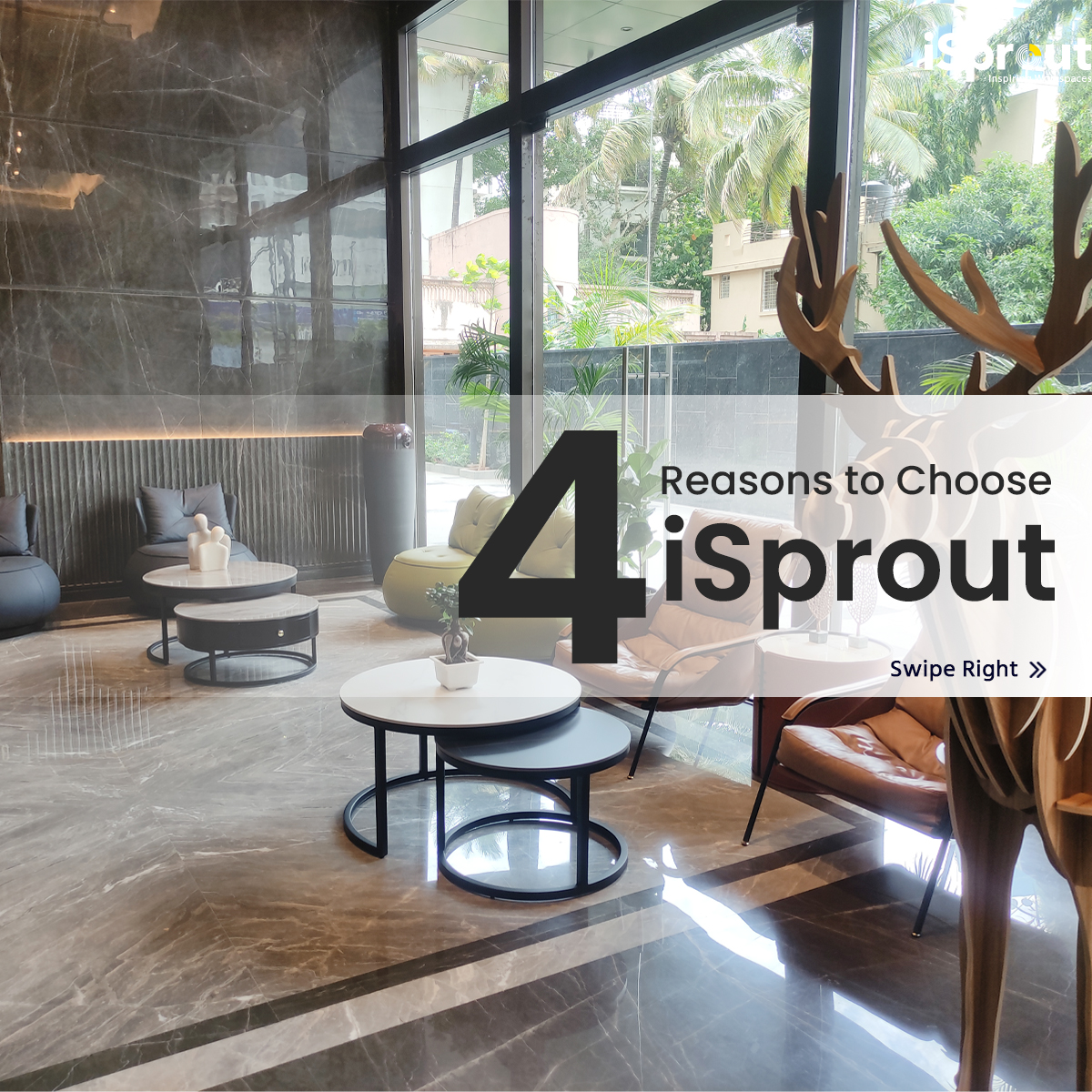 iSprout GreyStone - India