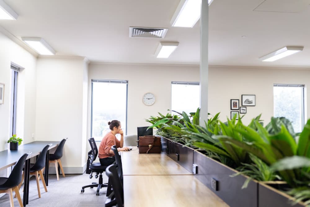 Platypus Coworking 51 Lydiard Street South