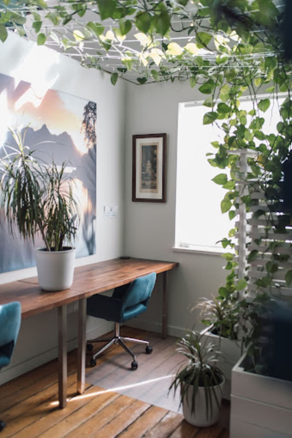 OneSpace Odlum Dr- Vancouver