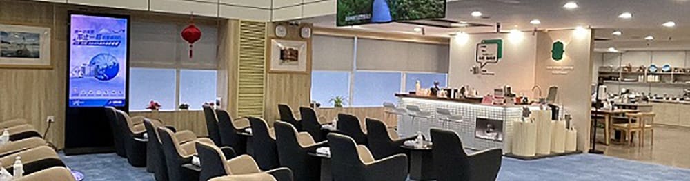 Plaza Premium Lounge China Southern First/Business Plus Class Lounge