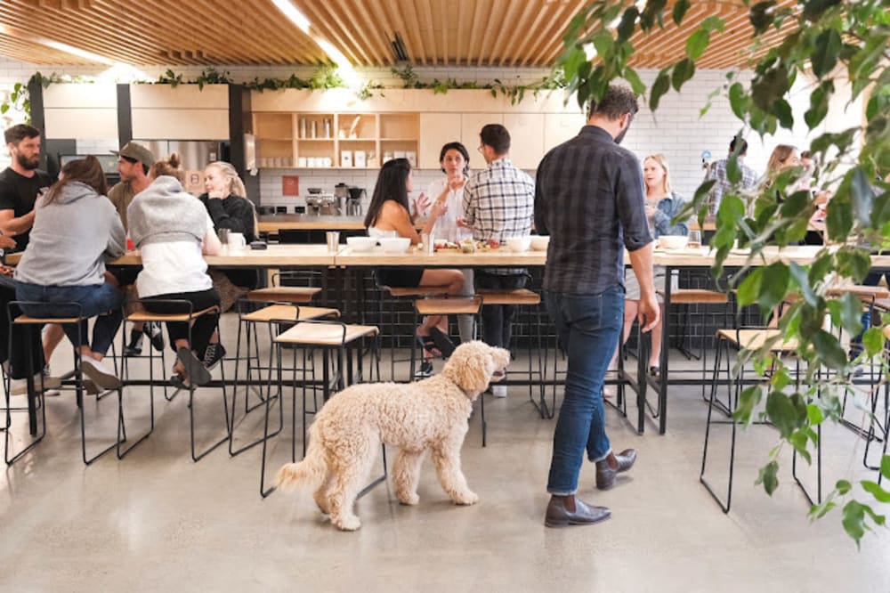 The Commons South Melbourne