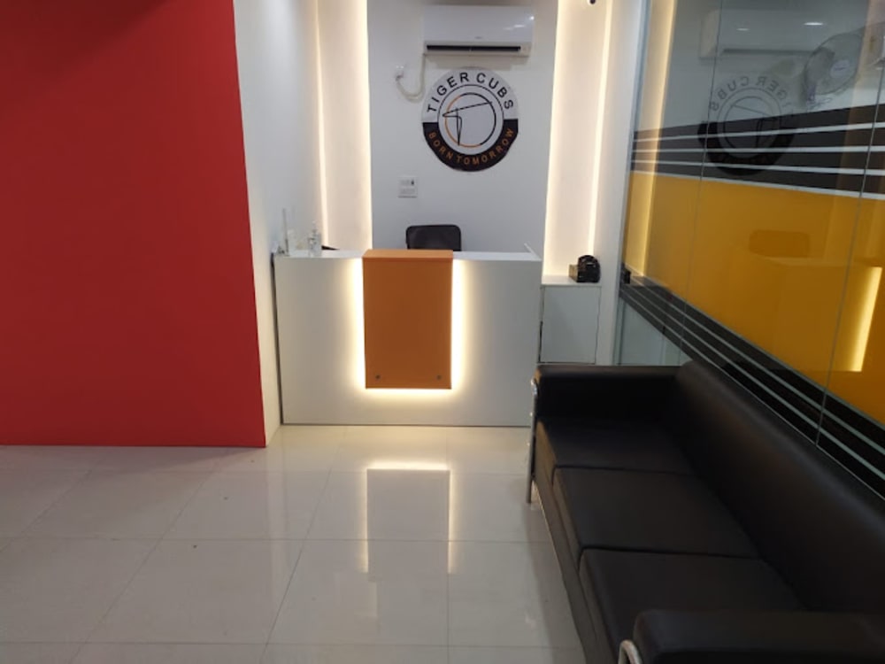 Tiger Cubs Incubation