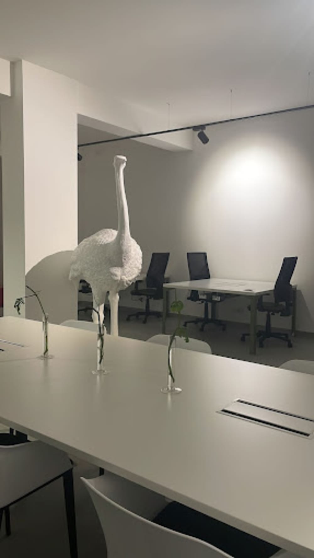 MIMAspazio coworking- Rome