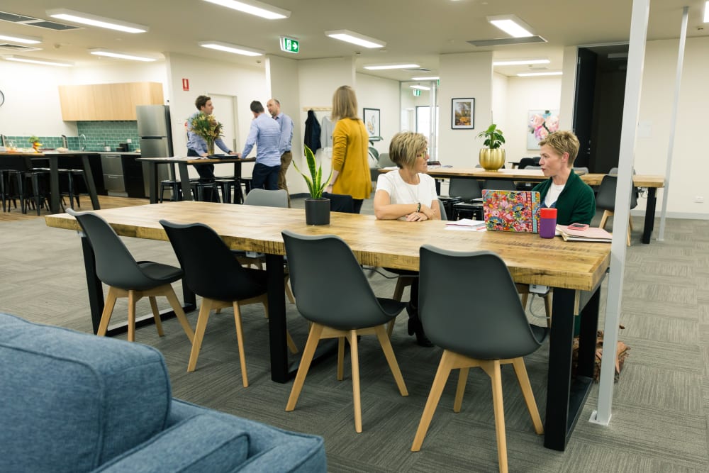 Platypus Coworking 51 Lydiard Street South