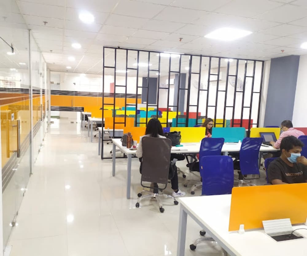 Tiger Cubs Incubation