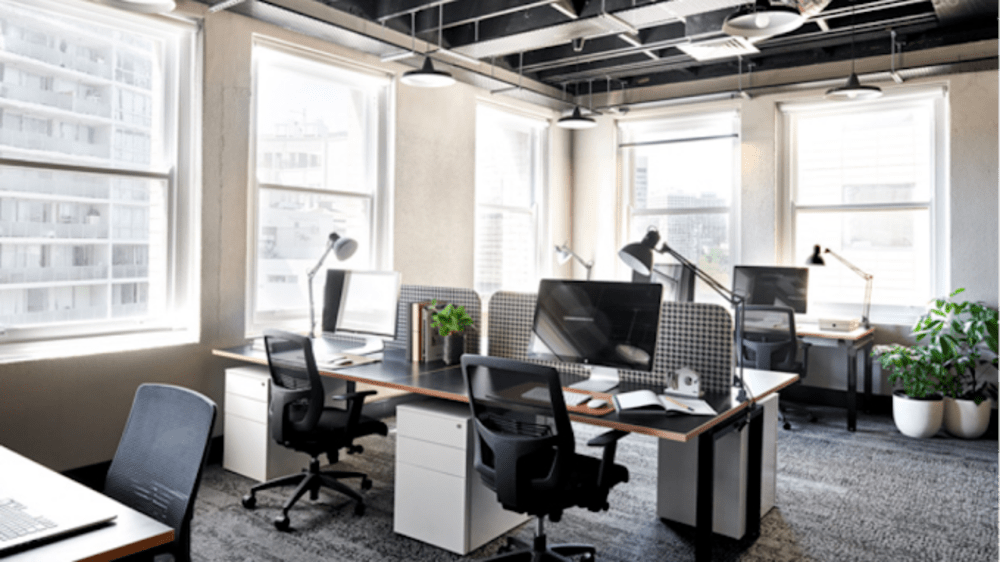 Plus U Work Collective- Chippendale