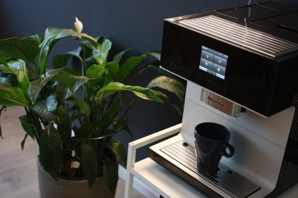 Ostregate 21 Coworking