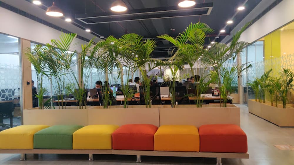 India Accelerator Mehrauli Gurgaon