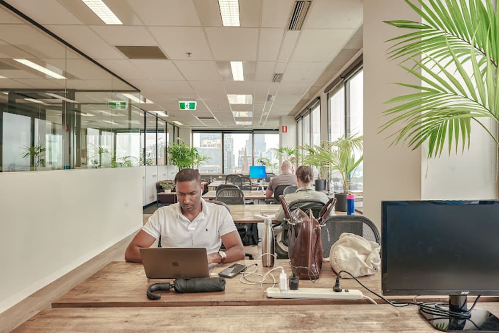 The Cluster Coworking- Melbourne
