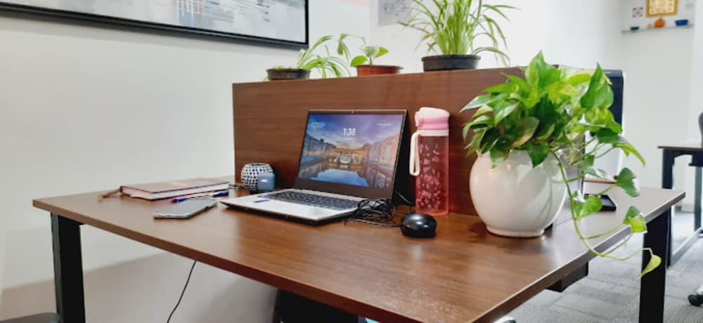 Mushroom Spaces Wanowrie