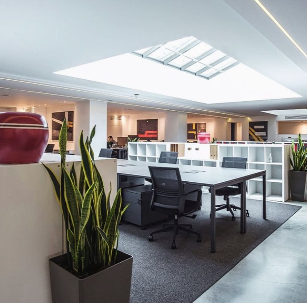 The Community- Lisbon