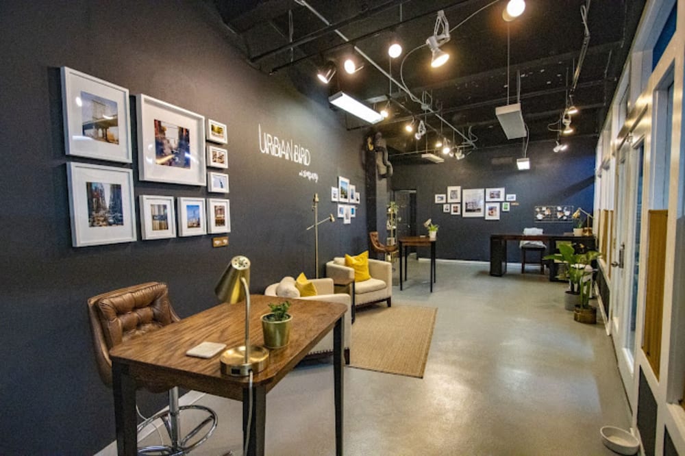 Urban Bird Mellwood Ave