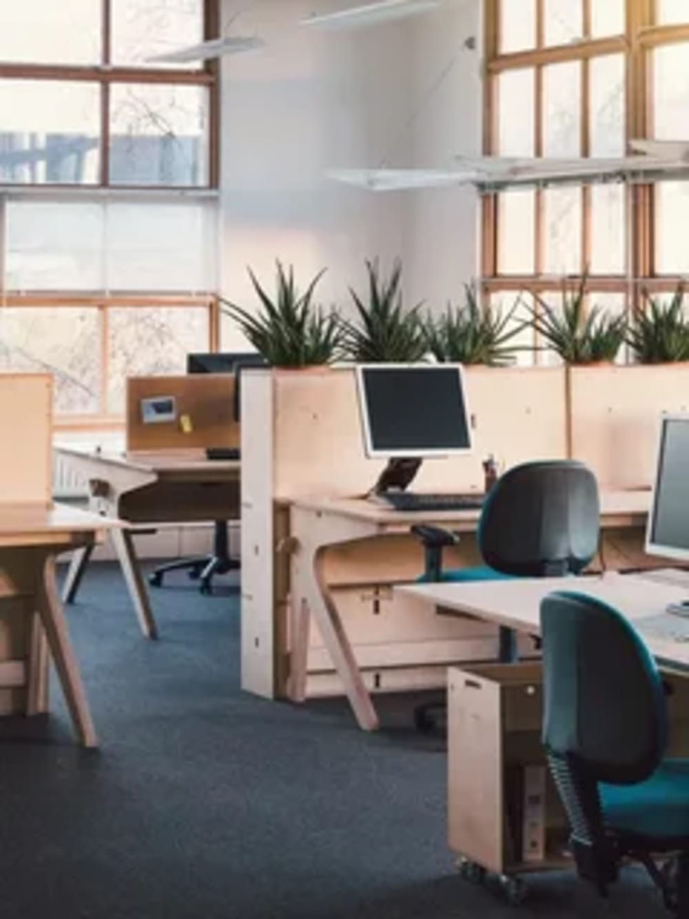 Findoc Mumbai Mumbai