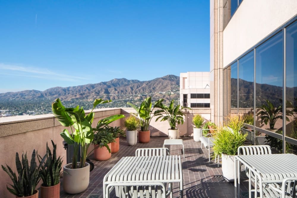 Industrious Brand Blvd