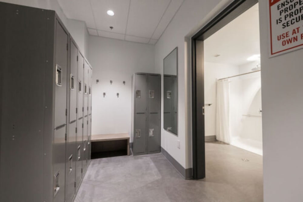 The Hive Kamloops Canada