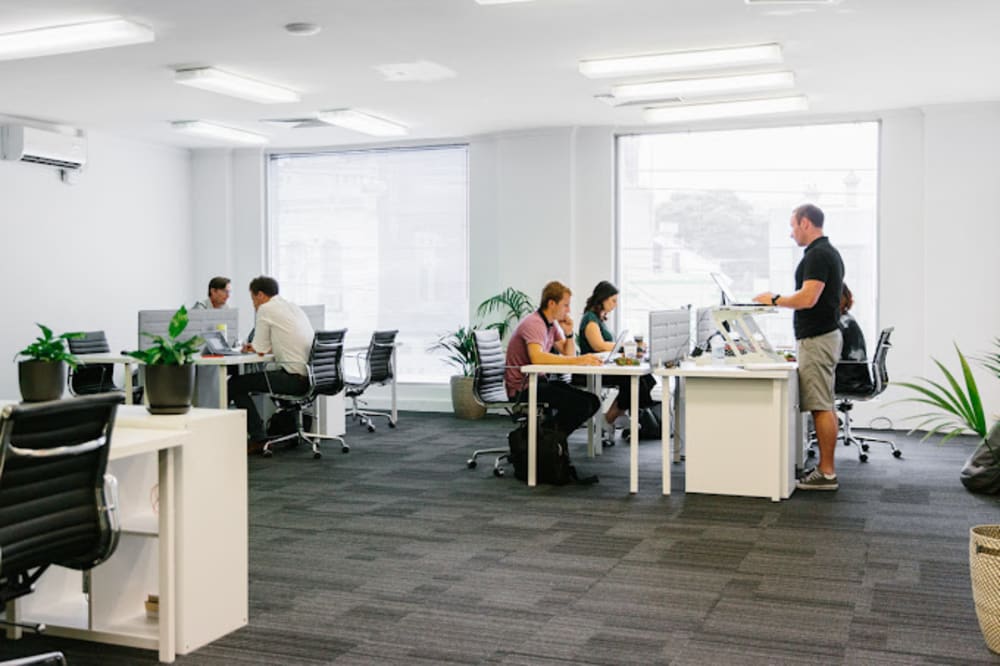 The Workery 6 Riddell Pde