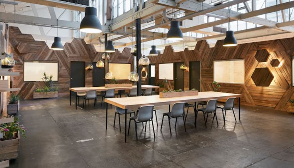 Mycelium Studios Moreland