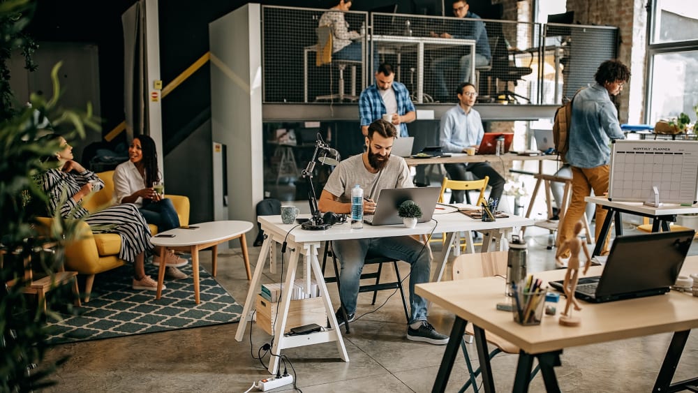 Dayme Koregaon Park Pune