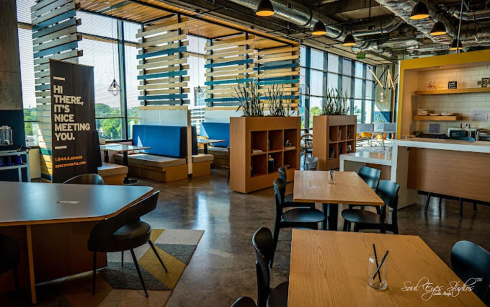 Spaces The Dillon-Raleigh