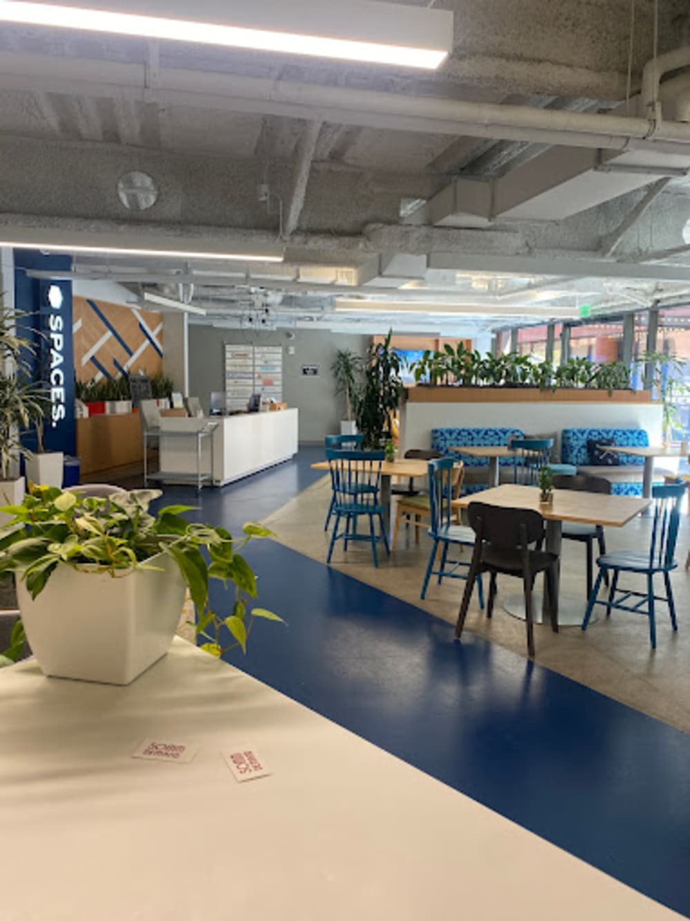 Spaces Levis Plaza San Francisco