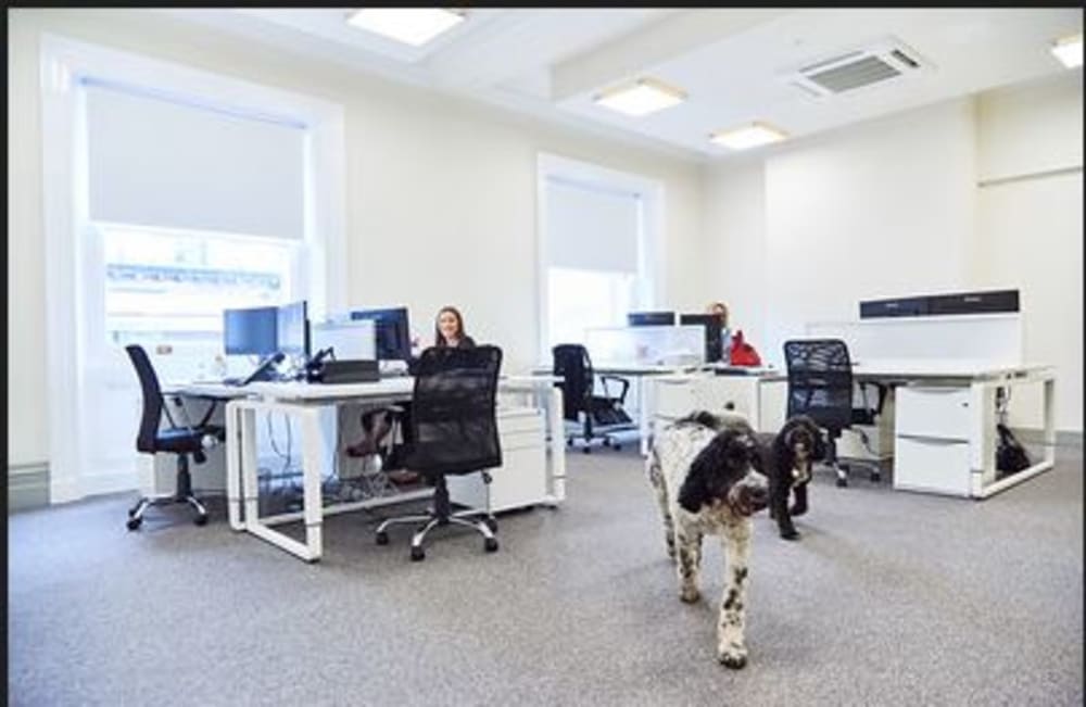 The Corner 1 Clavering Newcastle