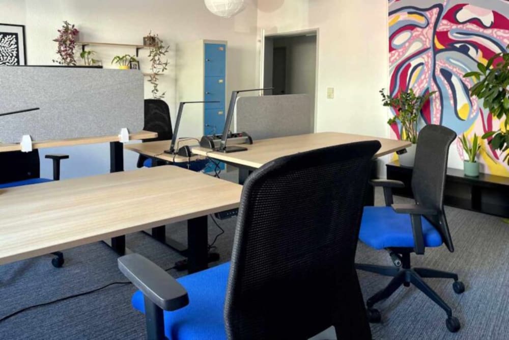 Studio D57, Demmeringstraße