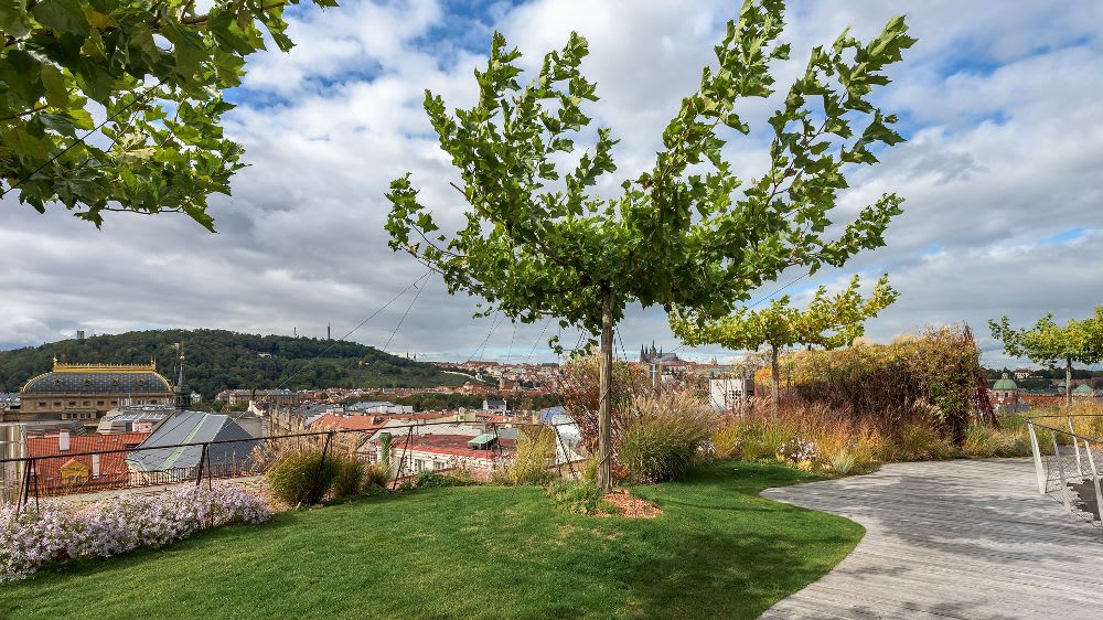 Sharp House Business Centre