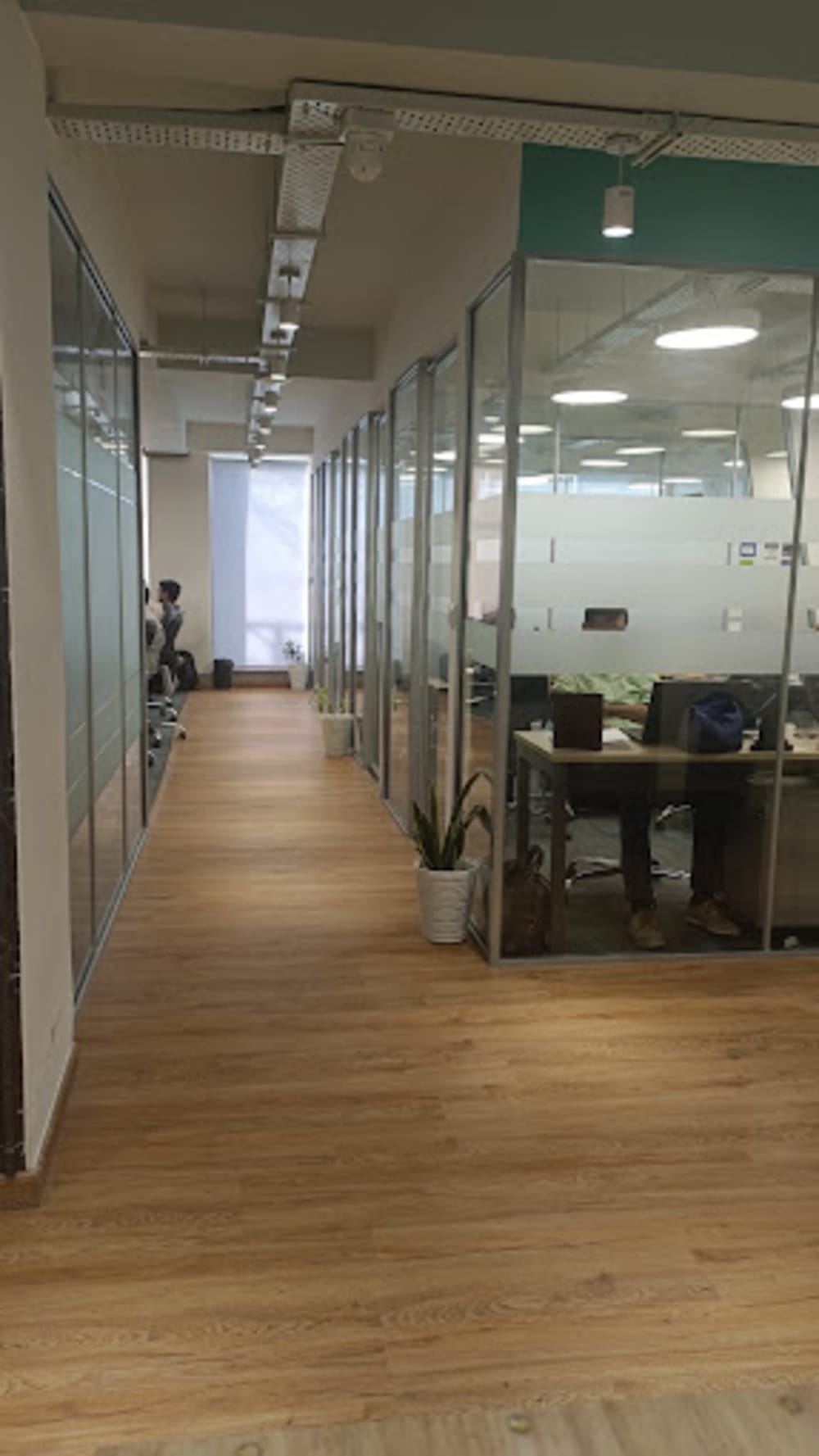 Springhouse Coworking SHDL003